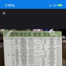 쥬쥬동물병원 - 동해시 지양길 6 | 쥬쥬동물병원