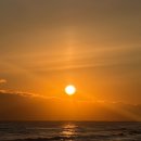 미스터샤크유도짐 이미지