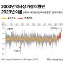 나이테 이미지