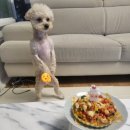바르개 맛있개 네이버블로그
