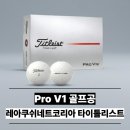 공일상사 | 타이틀리스트 PRO V1 골프공 선물용 후기(쇼핑백 증정) 단점 총정리