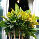 착한7주유소 이미지