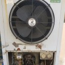 체크마트 이미지