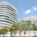 파크 블러썸 이미지