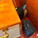 (유)나성관광 여행사 | 유럽 세미패키지 여행사 추천 동·서유럽 15일 여자혼자여행 코스 후기!트래블비아