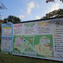 김천김밥축제 | 김천 김밥축제 후기(사람 많습니다~)