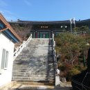 화은사 Daum카페