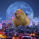 쇼핑중독자의 6月 여름 살안타템 추천 타타타