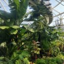 순천만국가정원 국가정원식물원 화장실 이미지