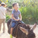 이랴이랴 워~워 이미지