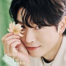비스킷타운 주식회사 이미지