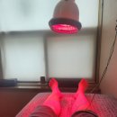 이승재한의원 이미지