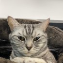 다호동물병원 이미지