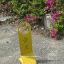 용인시청 | 용인시청역 카페 추천 슬로 용인시청 내돈내산 후기