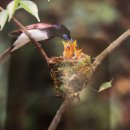 하남사진작가협회 회원전 이미지