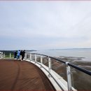 주말이면 북적대요" 가족 단위 당일치기 여행객이 몰리는 국내 최고 노을 맛집 명소 이미지