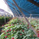 백산개발 이미지