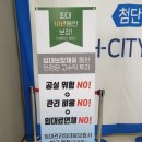 트레비엔