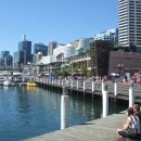 [도로시 정보] 호주 대학교 진학, 파운데이션 대신 캐나다 고등학교에서 학점 이수를? 이미지