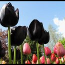 수락자동차공업사 이미지