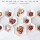 참맛있는젓갈
