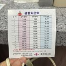 카페배 | 신시모도 벚꽃 구경 당일치기 여행ㅣ신도행 배 시간표부터 맛집 카페 후기까지