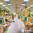 금산인삼 - 구로구 | 금산인삼