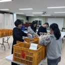 방울토마토판매 준비작업 이미지