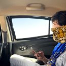 오스카(OSCAR) | 이집트 신혼여행 이집트 프라이빗택시 오스카 Oscar 가격 정보 및 후기