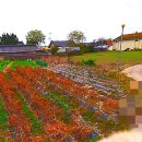 공장박사공인중개사사무소 이미지