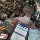 콩이카센타 이미지