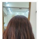 라헬미용실 - 포천시 영북로177번길 15-1 | 엘로이 새치염색과 볼륨컷 후기 정자동미용실 살롱라헬 후기