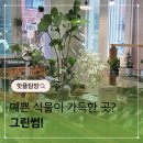 주흥3길 1 | 예쁜게 가득한 서울식물가게 그린썸, 소철 구매후기