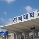 심신미약