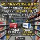 📦 부산 기장 창고형 약국, 오시리아 약국 솔직 후기, 저렴한 가격 뒤에 숨겨진 진열의 심리학(feat...