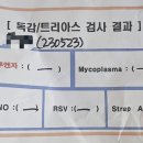 별장약국 이미지