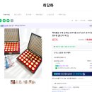 11545-04-11-10 | [W_04] 상견례를 하다 / 희담화 / 역삼 봉우리