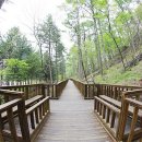 국립유명산자연휴양림 이미지