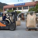 남원종자 이미지