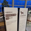 비비큐(BBQ)거제점 | 소노캄거제 여행 강아지동반 가능 셀프bbq랑 산책로