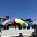 오고가고민박 이미지