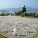 근해농장 이미지