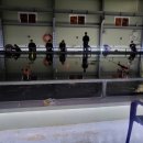 뚜루실내바다낚시터 이미지