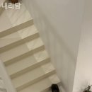 내리담 이미지