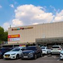 스파고기 이미지