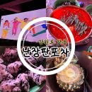 경포로 | 강릉 경포대 2차술집 &#39;난장판포차&#39; 90년대생 추억 싸이월드 BGM 폭발하는 찐 핫플 후기