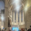 (의)열린의료재단 미아열린의원 | 선우경식 선종 18주기 추모 및 감사음악회