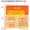 실버글쓰기교실 | 초초고령사회인 일본에서 살펴본 실버산업의 방향성은..?