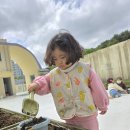 ＜텃밭활동＞ 방울토마토 모종을 심었어요🌱 이미지