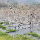 강진도깨비농장 이미지